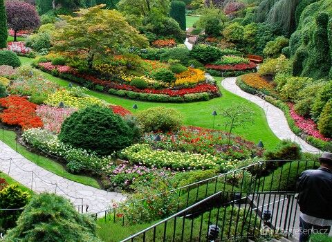 Krásne upravená záhrada