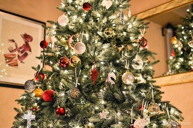 Tradícia vianočného stromčeka k nám prišla z Nemecka
