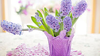 Privolajte jar pomocou čerstvých rezaných kvetov