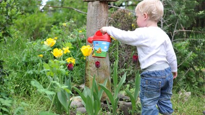 Naučte deti láske k prírode pomocou záhrakárčenia
